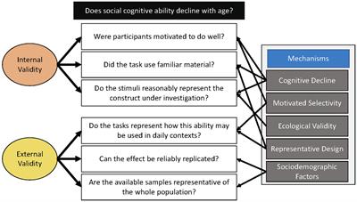 Social discount cognitive framework